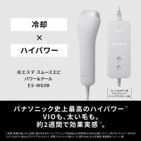 Panasonic パナソニック ES-WG0B-H(グレー)　スムースエピ パワー＆クール　海外使用可能 | murauchi.co.jp