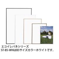 ARTE アルテ  エコイレパネ B5 (ホワイト) ST-B5-WH | murauchi.co.jp