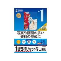 サンワサプライ  インクジェット用スーパーファイン用紙（A4サイズ・250枚入り） JP-EM5NA4250 | murauchi.co.jp