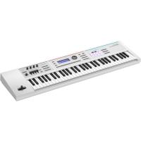 Roland(ローランド) JUNO-DS61W | ミュージック プラント Yahoo!店