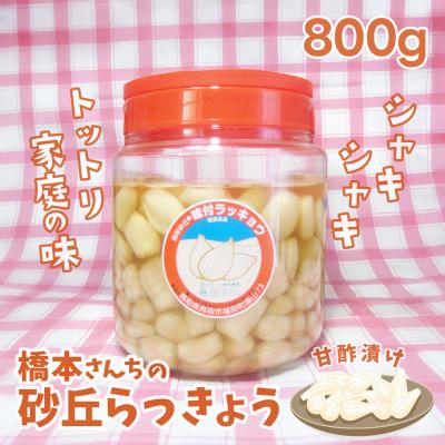 鳥取砂丘らっきょうの商品一覧 通販 - Yahoo!ショッピング