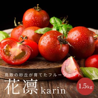 トマト｜野菜｜食品 通販 - Yahoo!ショッピング