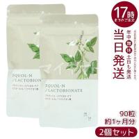エクオールN ラクトビオン酸配合 90粒 2個セット サプリメント エクオール サプリ 大豆イソフラボン 腸内環境 美容ケア アドバンスト・メディカル・ケア | マイギフト ヤフー店