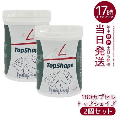 フィットラインのおすすめ人気ランキングTOP100 - Yahoo!ショッピング