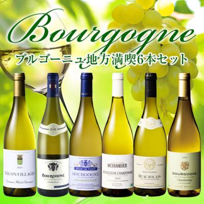 ワイン 白ワインセット すべてシャルドネ!ブルゴーニュ地方満喫白6本