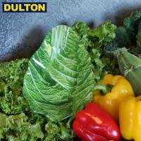 DULTON GLASS FARMER PLATE CABBAGE (品番：G815-973CB) ダルトン インダストリアル アメリカン ヴィンテージ 男前 ガラス ファーマー プレート キャベツ)) | neut kitchen(ニュートキッチン)