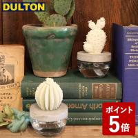 DULTON カクタス フレグランス ディフューザー A CACTUS FRAGRANCE DIFFUSER A ELEGANT PEONY G675-824A-EP ダルトン)) | neut kitchen(ニュートキッチン)