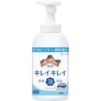 ライオン キレイキレイ薬用泡ハンドソープ 無香料 ５５０ｍＬ BPPGHULF  【339-2194】 | オレンジ便利