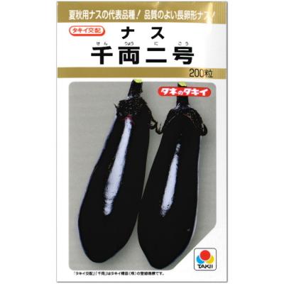 千両二号の商品一覧 通販 - Yahoo!ショッピング