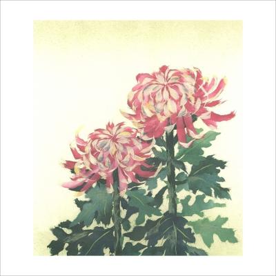 色紙絵 秋 菊の商品一覧 通販 - Yahoo!ショッピング 色紙絵 秋 菊の商品一覧 通販 - Yahoo!ショッピング