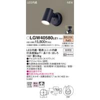 LGW40580LE1 パナソニック 防雨型スポットライト 電球色 | タロトデンキ