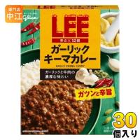 グリコ LEEガーリックキーマカレー辛さ×12倍 150g パウチ 30個 (10個入×3 まとめ買い) | 専門店中江