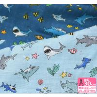 レトロコレクション フラワー柄 60ローン 繊細なタッチで描かれた花 Kokka 生地 布 Nfa 1000 5 お買い物かごの数は3から Nfa 1000 5 ホビー家コテツ 通販 Yahoo ショッピング