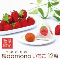 梅干し フルーツ梅 梅damono いちご 12粒入 ギフト プレゼント 個包装 中田食品 うめだもの 数量限定 | 紀州梅の里なかた Yahoo!店