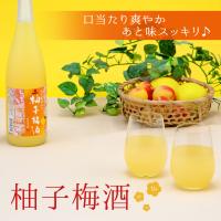 柚子梅酒 720ml 中田食品 紀州産 完熟南高梅 ゆず 熟成貯蔵 和歌山県産 柚子果汁入り さっぱり | 紀州梅の里なかた Yahoo!店