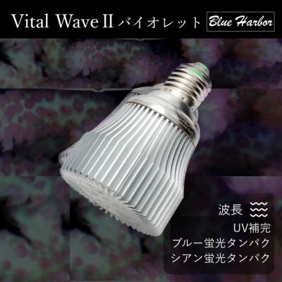 レッドシー 照明、ライト本体（水槽、アクアリウム用品）｜ライト