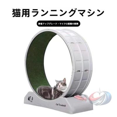猫 回し車の商品一覧 通販 - Yahoo!ショッピング