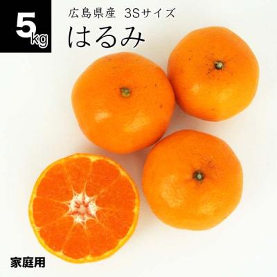 nanico - ミカン｜Yahoo!ショッピング