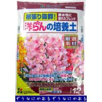 花ごころ　洋らんの培養土　12L | なにかあるぞう