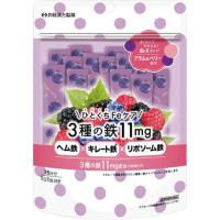 【メール便指定可能　3個まで】◇＼ひとくちＦｅケア／３種の鉄 １１ｍｇ 22.5g（1.5g×15袋）・15日分 | なの花ドラッグYahoo!店