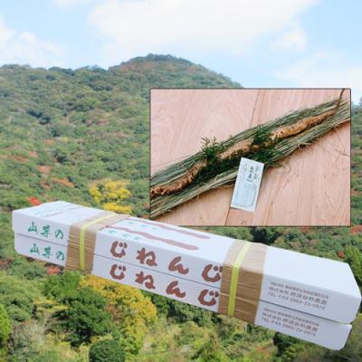 那須自然農園 - 山菜の王者『自然薯』｜Yahoo!ショッピング