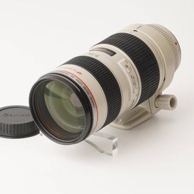 canon eos70d（交換レンズ）｜カメラ | テレビ、オーディオ、カメラ の