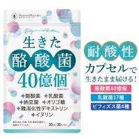 糸音♬.*゜ボディスリマ ダイエットサプリ 120粒×4 糸音♬.*゜様専用