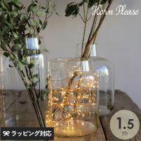 LED ワイヤーライト 電飾 おしゃれ ディスプレイ クリスマス インテリア Horn Please ホーン プリーズ LED ワイヤーライト ブリンク 1.5m | natu&robe