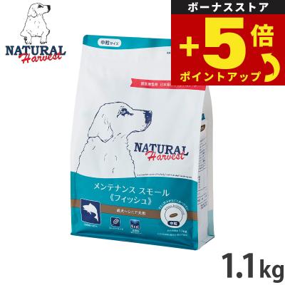 ペットショップkojikoji - 成犬｜Yahoo!ショッピング