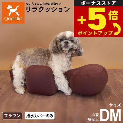 ペットショップkojikoji - ワンエイド｜Yahoo!ショッピング