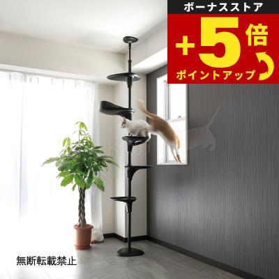 oppoフォレストキャットタワーのおすすめ人気商品一覧 通販 - Yahoo