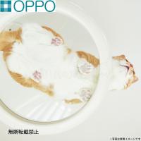 倍々+5倍！最大ポイント26倍！本日限定！OPPO オッポ キャットフォレスト2用オプション ClearShelf クリアシェルフ ホワイト | ペットショップkojikoji