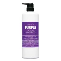 フィヨーレ FIOLE クオルシア カラーシャンプー パープル 1000ml | Ace Cosme Yahoo!ショッピング店