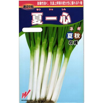 ネギ 種 コートのおすすめ人気商品一覧 通販 - Yahoo!ショッピング