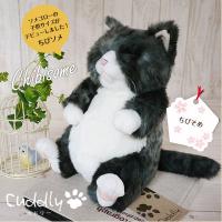 Cuddly（カドリー） 猫のぬいぐるみ ちびソメ 猫グッズ 猫雑貨 猫ぬいぐるみ ぬいぐるみ 猫 リアル癒し | ねこのざっか屋さん ネコランド