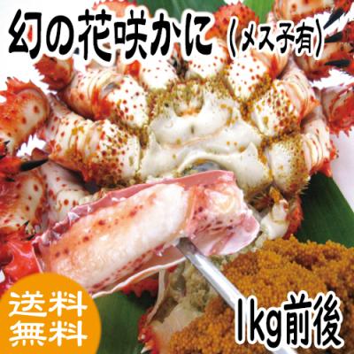 根室かに鮮 - 商品一覧（おすすめ順） - 売れ筋通販 - Yahoo