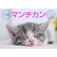 [グッズ]/カレンダー/子猫のマンチカン [2024年カレンダー] | ネオウィング Yahoo!店