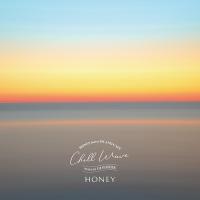 【送料無料】[CD]/DJ HASEBE/HONEY meets ISLAND CAFE Chill Wave Mixed by DJ HASE | ネオウィング Yahoo!店