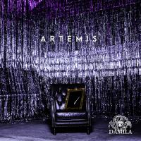 [CD]/DAMILA/ARTEMIS [Bタイプ] | ネオウィング Yahoo!店
