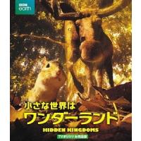 【送料無料】[Blu-ray]/ドキュメンタリー/小さな世界はワンダーランド TVオリジナル完全版 | ネオウィング Yahoo!店