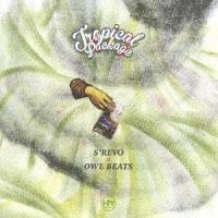 【送料無料】[CD]/S'REVO × OWL BEATS/TROPICAL PACKAGE | ネオウィング Yahoo!店