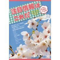 ミスターパートナー 雑誌のおすすめ人気商品一覧 通販 - Yahoo