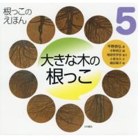 【送料無料】[本/雑誌]/根っこのえほん 5/平野恭弘/著 中野明正/編 | ネオウィング Yahoo!店