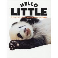 【送料無料】[本/雑誌]/HELLO LITTLE アドベンチャーワールドで生まれたあかちゃんパンダの奇跡/小 | ネオウィング Yahoo!店