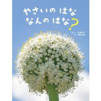 [本/雑誌]/やさいのはななんのはな? (かがくすっ)/宮崎祥子/構成・文 網野文絵/写真 | ネオウィング Yahoo!店