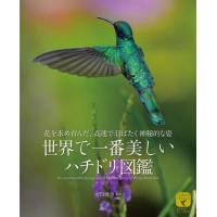 【送料無料】[本/雑誌]/世界で一番美しいハチドリ図鑑 花を求め育んだ、高速で羽ばたく神秘的な姿 (ネイチャー・ミュージアム)/水口博也/編著 | ネオウィング Yahoo!店