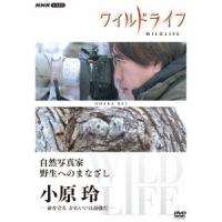 【送料無料】[DVD]/ドキュメンタリー/ワイルドライフ 自然写真家 野生へのまなざし 小原玲 | ネオウィング Yahoo!店