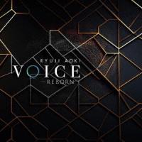 [CD]/青木隆治/VOICE -REBORN- | ネオウィング Yahoo!店