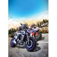 【送料無料】[PS4]/ゲーム/RIDE | ネオウィング Yahoo!店
