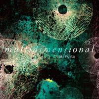 【送料無料】[CD]/藤田千章/multidimensional | ネオウィング Yahoo!店